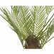 Planta artifical PALMERA marca EVERLANDS FLOWERS AND PLANTS Verde
