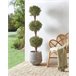 Beliani Planta artificial BUXUS BALL TREE Beliani Planta artificial BUXUS BALL TREE Verde