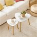 2 Mesitas de café FBT74-W SoBuy Blanco