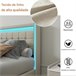 Cama, USB, Tipo C, Cama de Descanso, 4 Cajones, LED 148x213 Beige