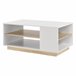 Mesa de Centro Trelleborg con estante aglomerado Natural/ Blanco