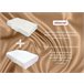 Almohada Antiarrugas ERGO con Funda de Almohada de seda Blanco