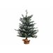 Beliani Árbol de Navidad RINGROSE Verde