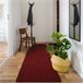 Alfombra de pasillo TRAFFIC 190 AB 60x400 Rojo