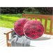 Beliani Cojín de jardín MEZZANO Fucsia