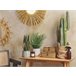 Beliani Planta artificial SNAKE PLANT Verde