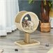 Árbol para Gatos Aglomerado de Madera, Felpa, Yute y Algas PawHut Beige