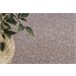 Alfombra EXCELLENCE 407 llanura 150x150 Rosa
