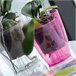 2x Macetero orquídea de plastico Coubi Orchid Transparente