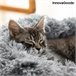 Cama Antiestrés para Mascotas Gris