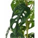Beliani Planta artificial MONSTERA ADANSONII Beliani Planta artificial MONSTERA ADANSONII Verde