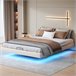 Cama con almacenamiento 200x140 Beige