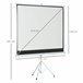 Pantalla de Proyector plástico, metal HOMCOM Blanco