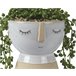 Planta BRISEIDA marca EVERLANDS Verde
