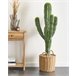 Beliani Planta artificial MAROCCO CEREUS Verde