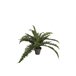 Planta artificial HELECHO marca MYCA Verde