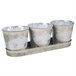 3 Cubos de metal y Bandeja Gris