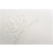 Almohada Viscoelástica Copos Funda Aloe Vera 75x40 Blanco/ Gris
