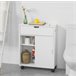 Armario Auxiliar Baño con 2 Puertas y 1 cajón BZR31-W SoBuy Blanco
