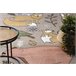 Alfombra FUN Forester para niños animales bosque 240x330 Beige