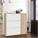Mueble zapatero 4 Puertas Dana Roble/Blanco Roble