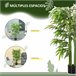 Bambú Artificial PE HOMCOM, hogar - decoración hogareña Verde