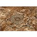 Alfombra de lana SUPERIOR NURI 170x235 Beige