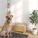 Comedero para Perros MDF, Acero PawHut Marron