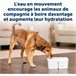 Fuente para Mascotas Blanco