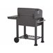 Beliani Barbacoa de carbón PAVLOF Gris