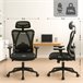 Silla de oficina - Elisha - Tela Negro