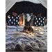 Beliani Cojín decorativo CUPID 45x45 Negro