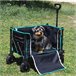 Aktive Carro plegable playa con ruedas todoterreno Negro