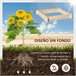 Arriate de Madera Madera de Abeto Outsunny Marron