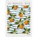 Lámina NARANJAS 70x50cm marca MARCOMUEBLE  Naranja