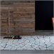 Alfombra decorativa NAF NAF DURBAN 160x230 Multicolor