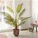 Planta artifical PALMERA marca EVERLANDS FLOWERS AND PLANTS Verde