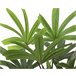 Planta artificial RHAPIS marca EVERLANDS FLOWERS AND PLANTS Verde