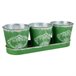 3 Cubos de metal y Bandeja Verde
