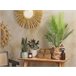 Beliani Planta artificial ARECA PALM Verde