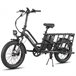 FAFREES FF20 CUV Bicicleta Eléctrica - Motor 250W Negro