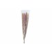 Ramillete floral PAMPA natural 85cm marca BOLTZE  Natural