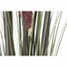 Planta Decorativa Lila