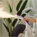 Plancha de Vapor ABS, PP HOMCOM Morado