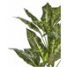 Beliani Planta artificial DIEFFENBACHIA Verde
