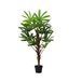 Planta artificial RHAPIS marca EVERLANDS FLOWERS AND PLANTS Verde
