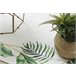 Alfombra lavable ANDRE 1168 Hojas de monstera Geométrico 120x170 Blanco