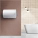 Termo eléctrico, Regent, Regent 80 litros, Horizontal Blanco Brillo