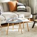 Set De 2 Mesas De Café Mesa Auxiliar FBT74-HG SoBuy 55x53 Gris