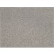 Beliani Silla de comedor PHOLA Gris Claro